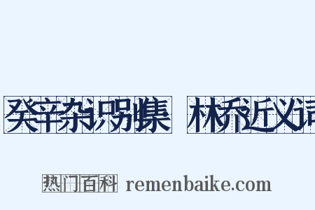 癸辛杂识别集·林乔近义词是什么意思的图片